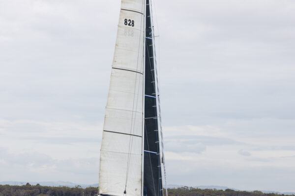 _EAN3348